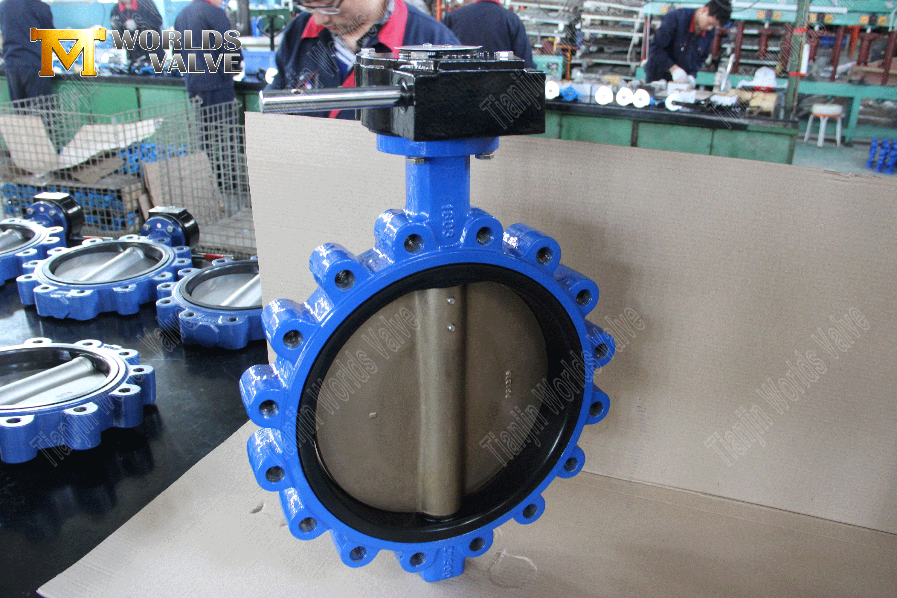 EPDM-s&auml;te H&ouml;gtrycksfj&auml;rilsventil med LUG Type-Butterfly Valve Manufacturer (2)