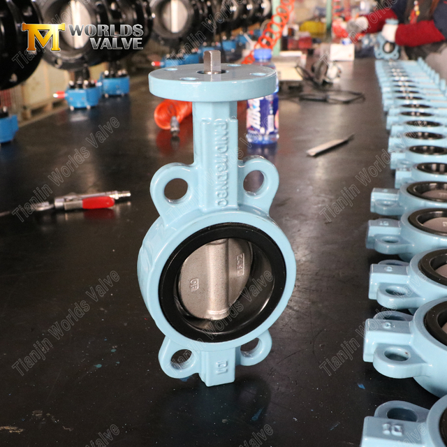 Fjärilsventiler av duktilt järn wafertyp | OEM fjärilsventilleverantör