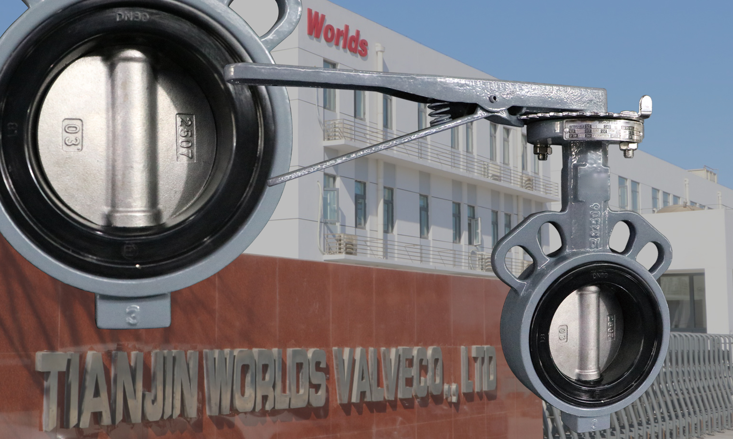 Mjuk tätning EPDM täckt SS 2507 Disc Fjärilsventiler med skivtyp Design | Överlägsen korrosions- och nötningsmotstånd