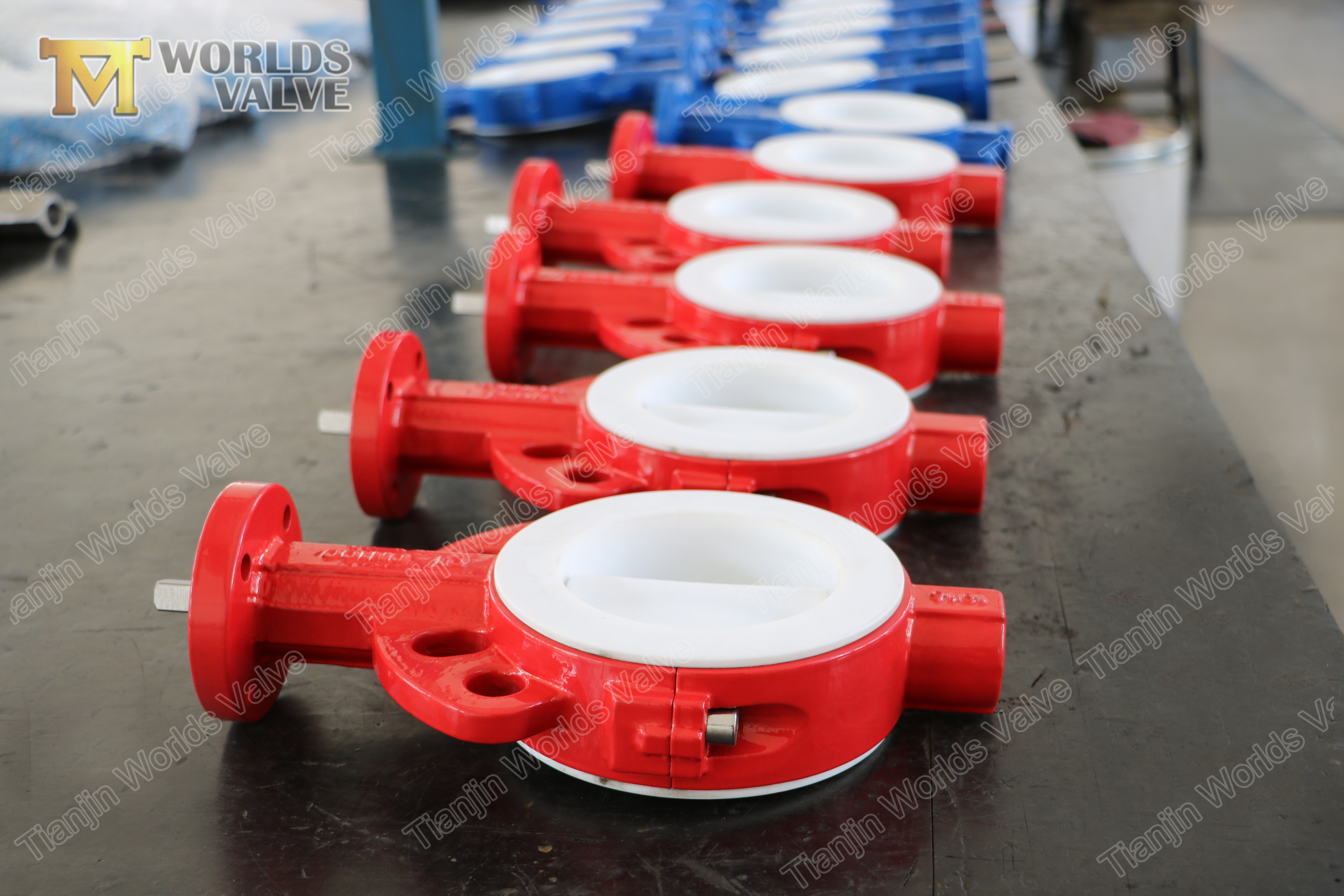4 FULL PTFE FOLLING WAFFER TYPE Concentric Butterfly Valve