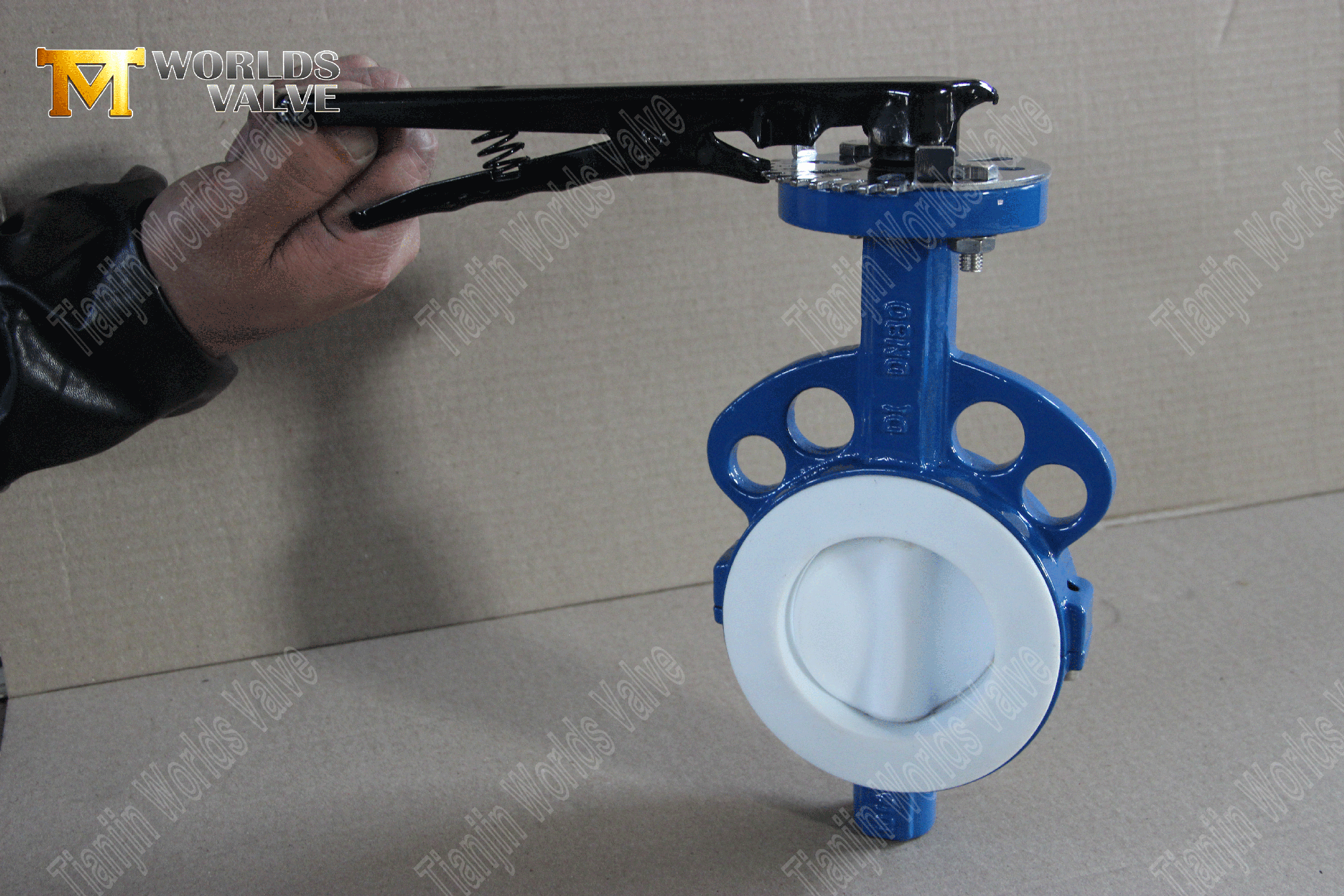 PTFE-FUNGUED-fodrad-Wer-Butterfly-Valve- (6)