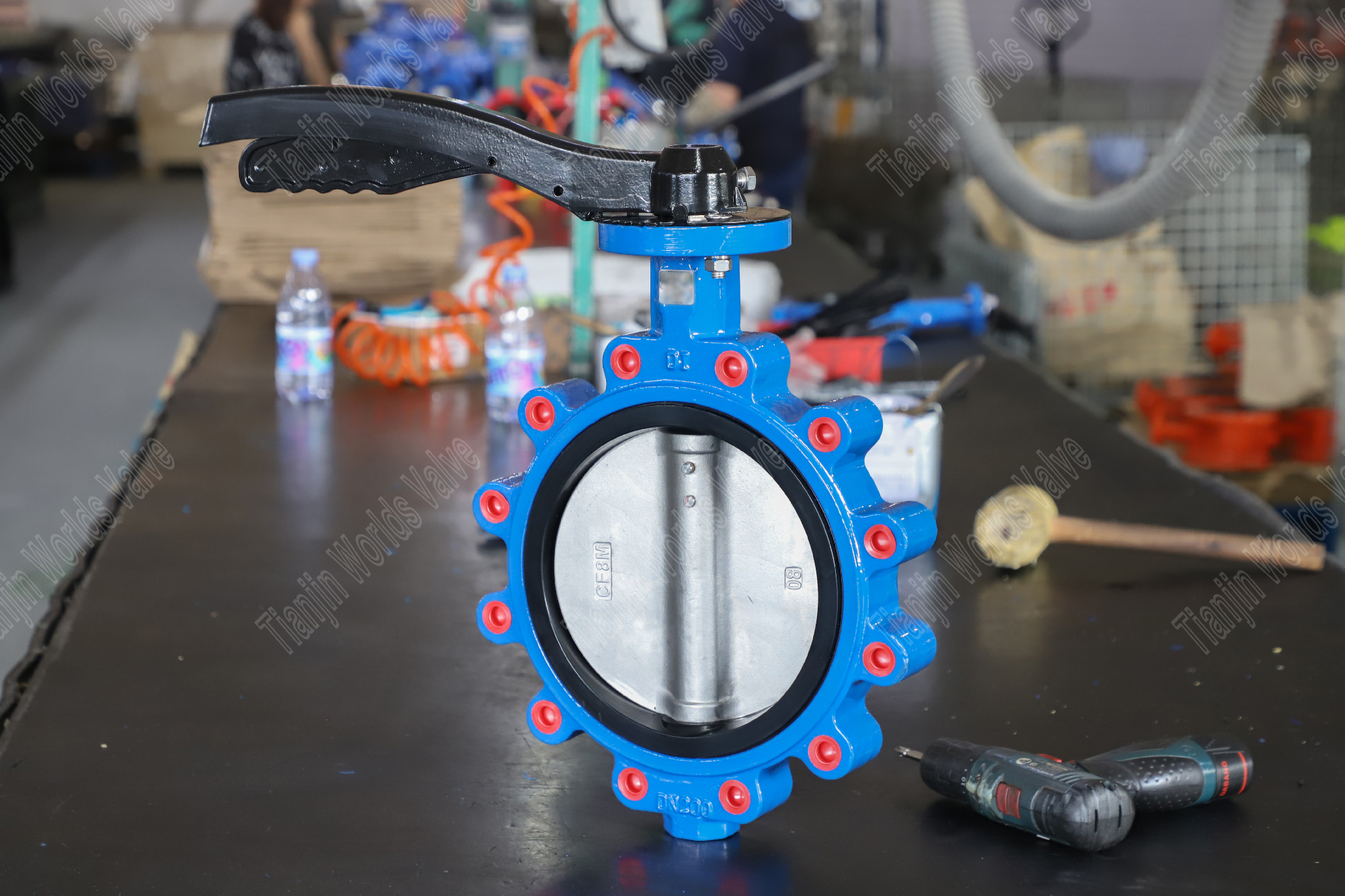 LUG -fj&auml;rilsventil med DI -ventilkropp och rostfritt st&aring;lskiva av China Butterfly Valve Leverant&ouml;r (1)