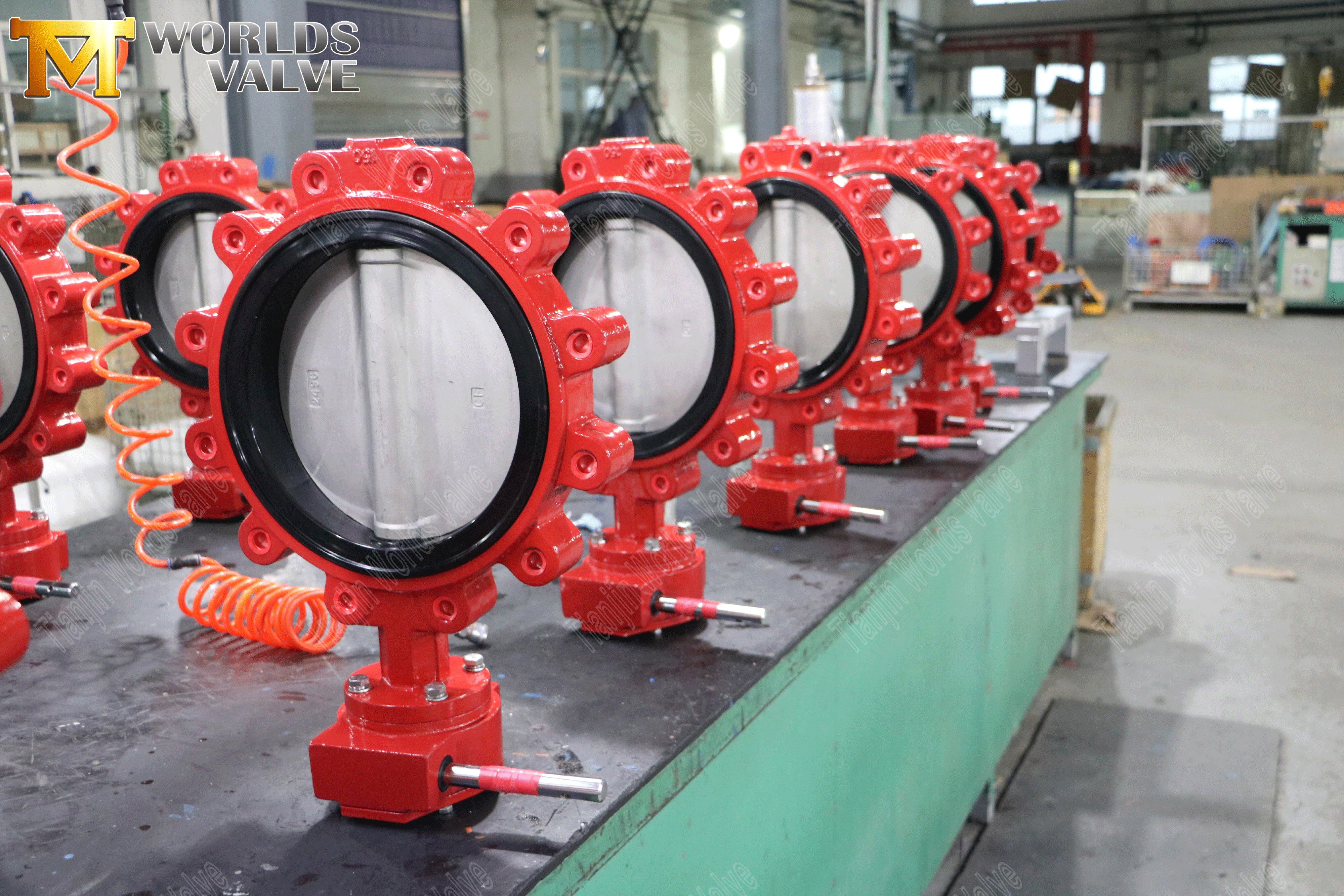 LUG Butterfly Valve Leverant&ouml;r-Butterfly Valve med fj&auml;drande gummis&auml;t och v&auml;xell&aring;da-2 (3)