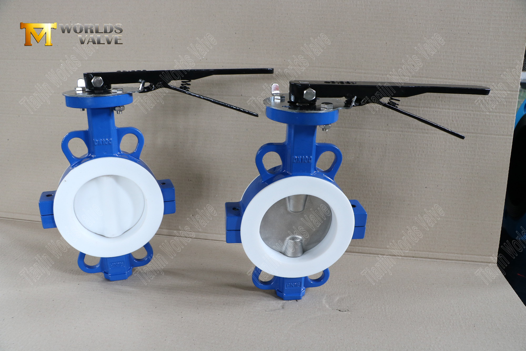 DN100-Teflon-fodrad-werfer-split-body-Butterfly-Valves-Korrosion-resistent-flow-control- (9)