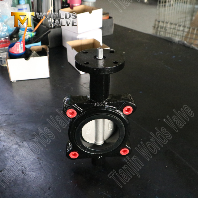 EPDM -sätesfjärilsventil med CF8M -skiva | Luggtyp Industrial-lösning