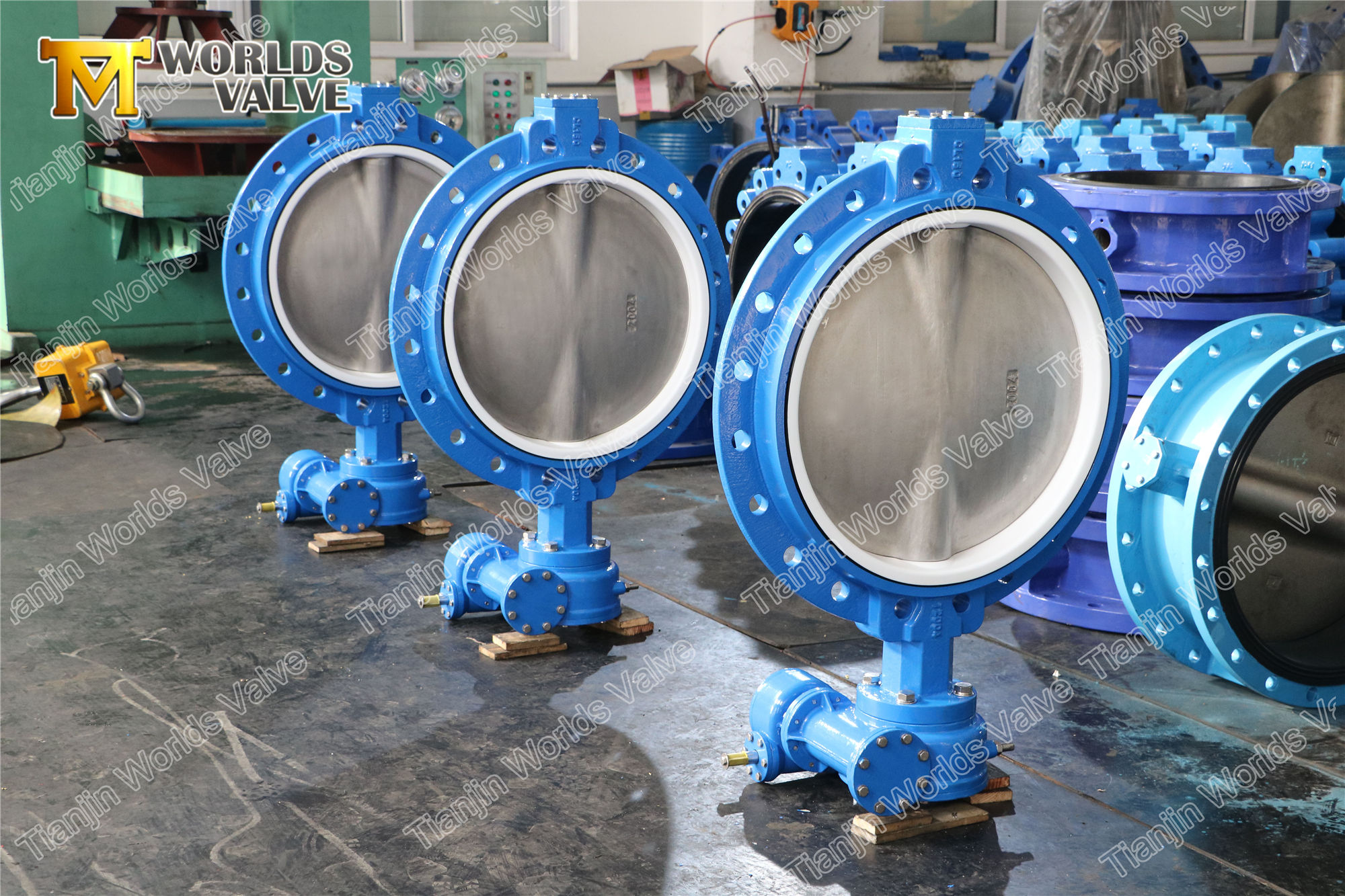 4 Concentric Single Flange Wafer Type Ventil