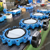 Nylon11 Coated Disc Lug Type Butterfly Valve