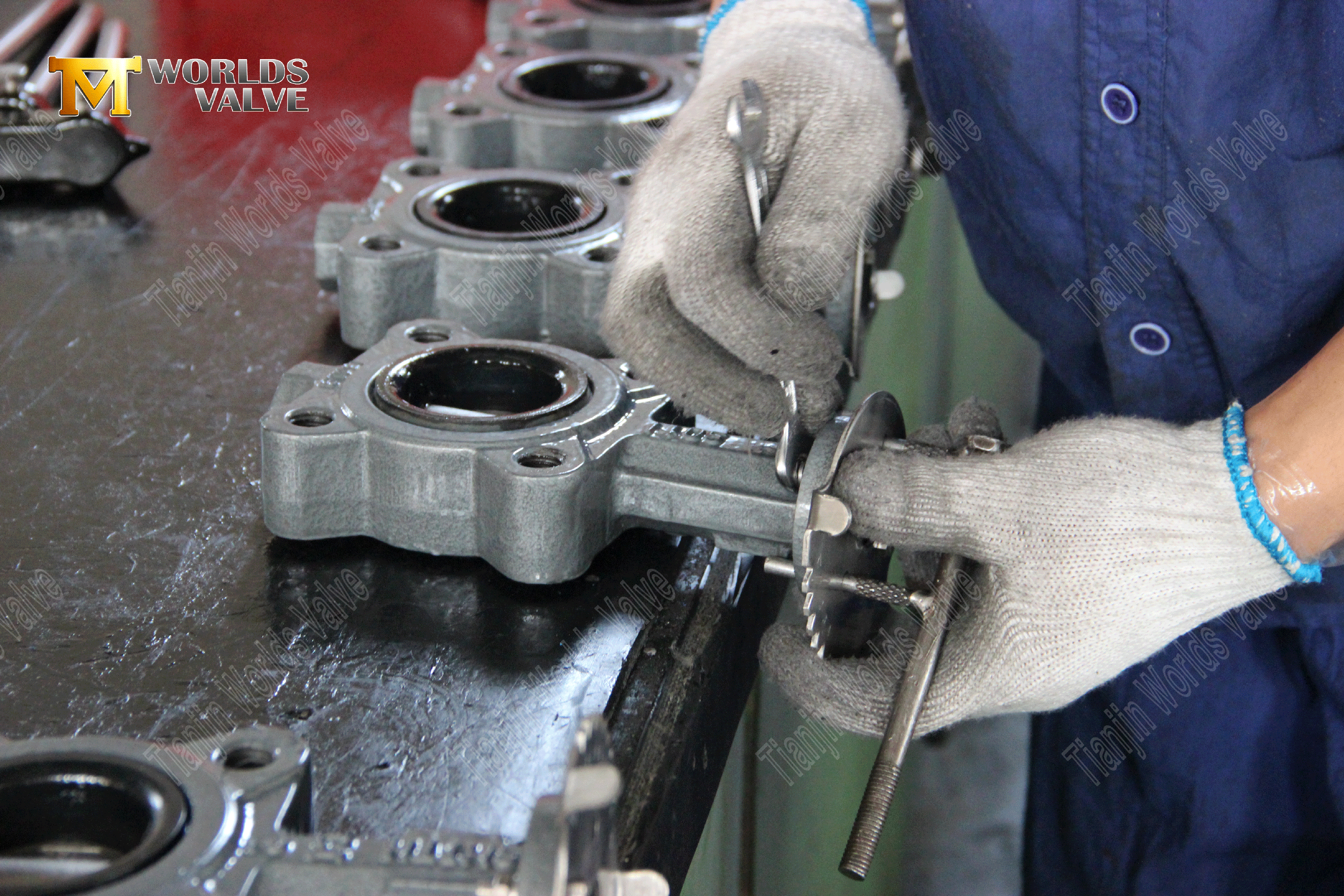 OEM ODM Valve Manufacturer-Lug Style Resilient sittande fj&auml;rilsventiler (5)