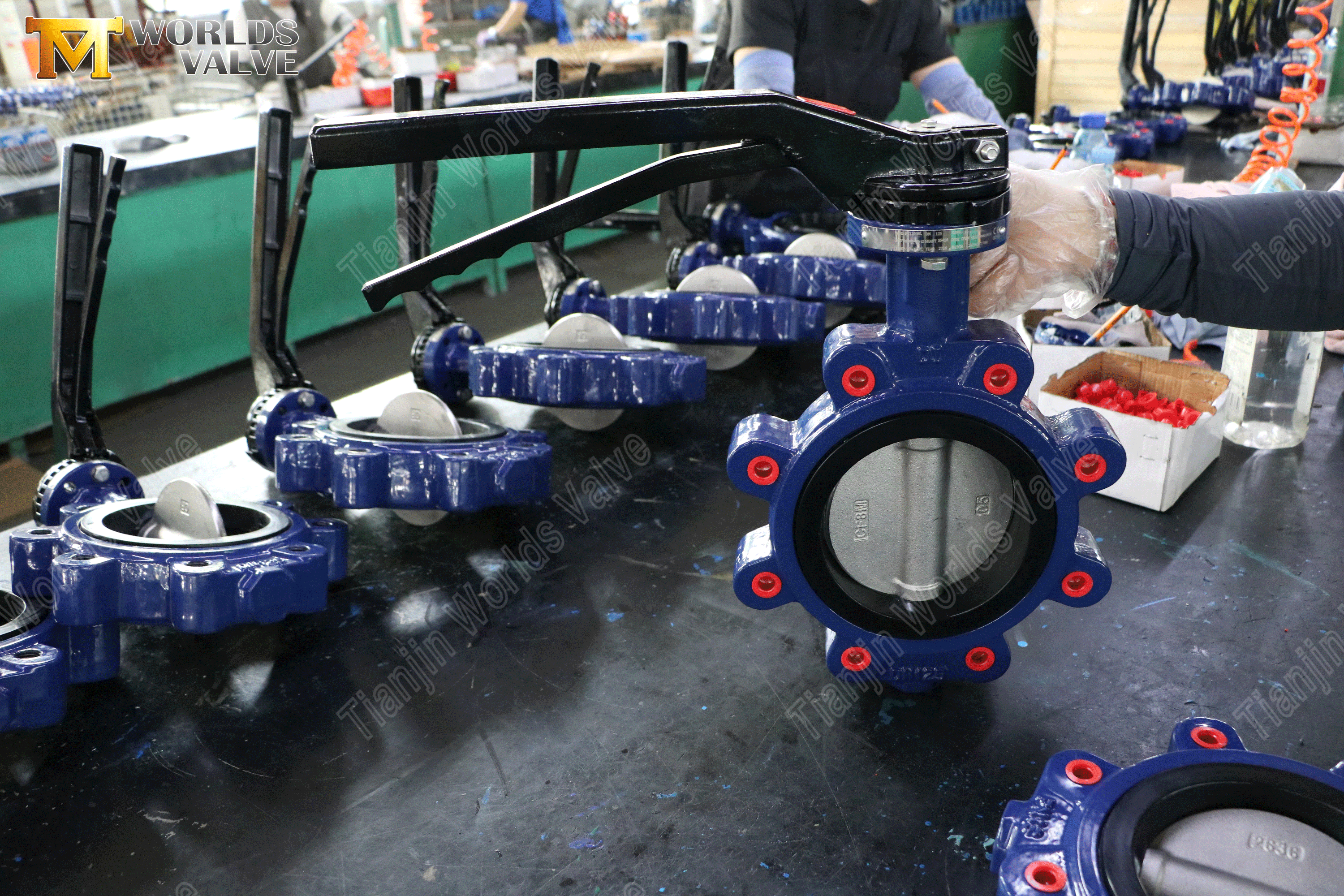 Lug Butterfly Valve–PN16, aluminiumhandtag, OEM-tillverkare (6).png