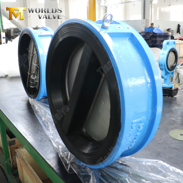 Dual Plate Wafer Backventil – EPDM-fodrad kropp, CF8M Disc, PN10, OEM-tillverkare