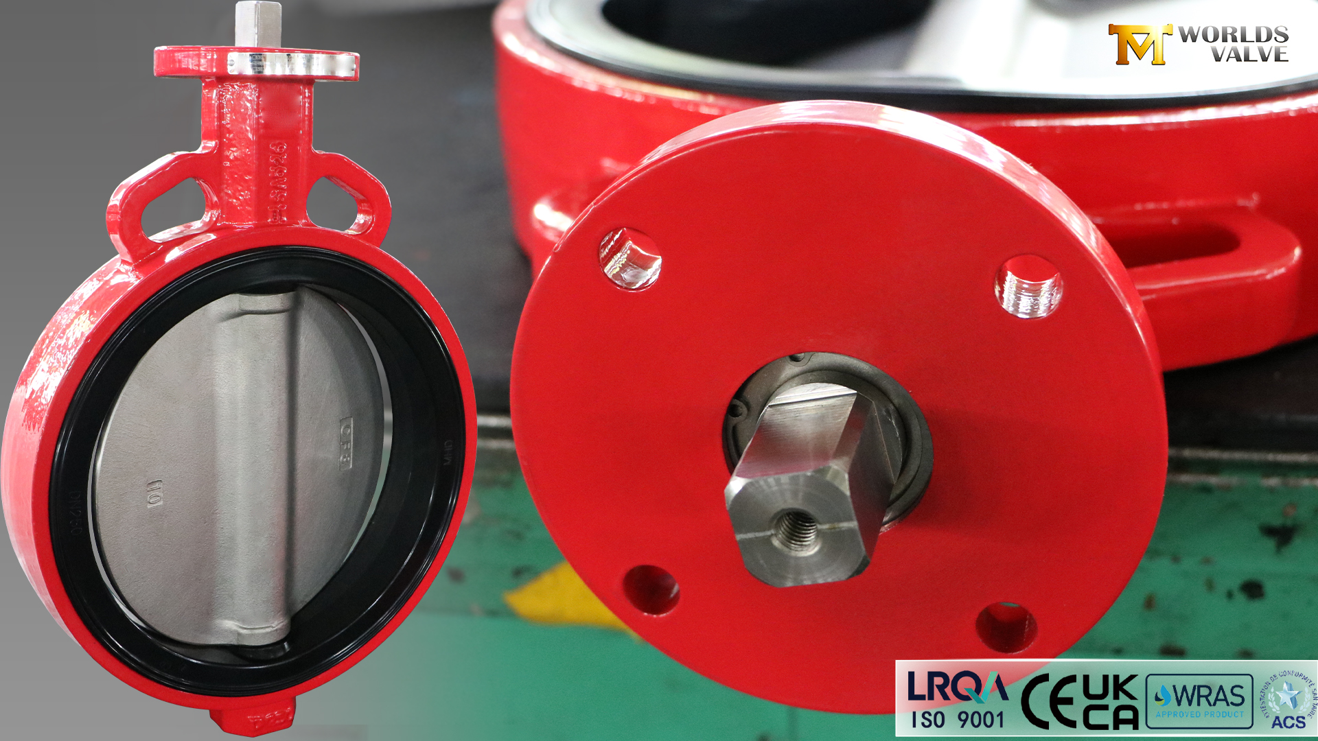 Wafer Concentric Butterfly Valve–DI-kropp, CF8-skiva, EPDM-säte