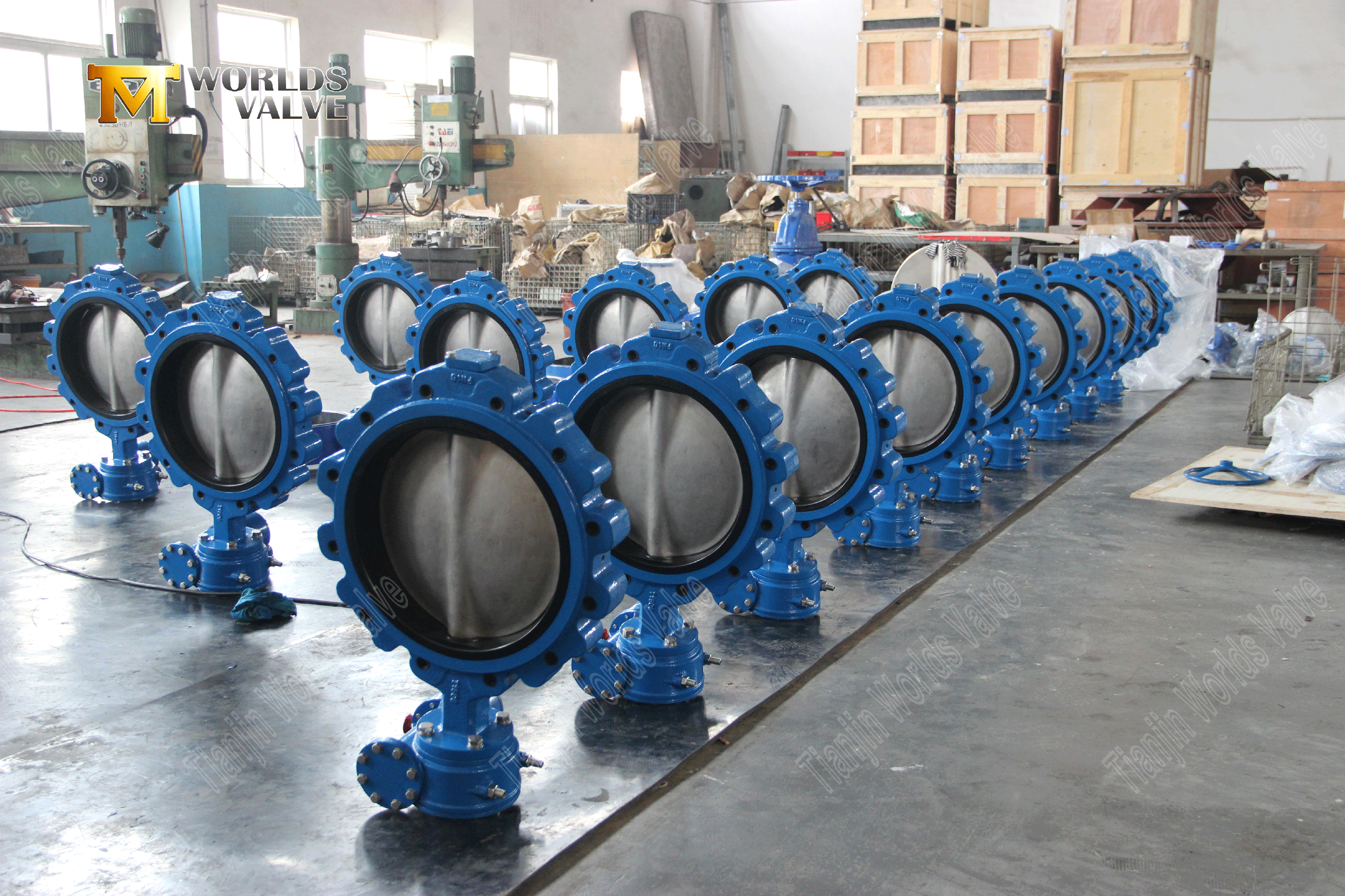 Lug Butterfly Valve–PN16, aluminiumhandtag, OEM-tillverkare (7).png